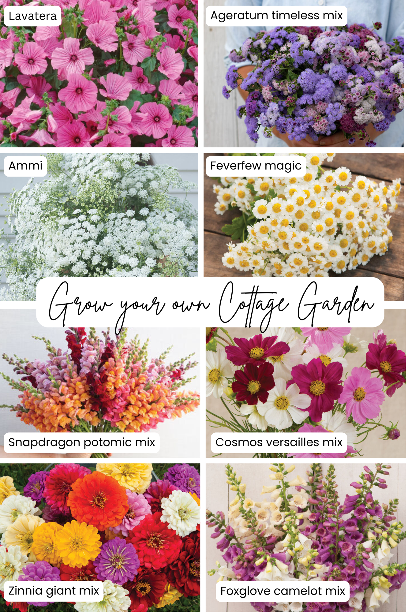 Cottage Garden Planting Kit - Grow Your Own Cutting Garden