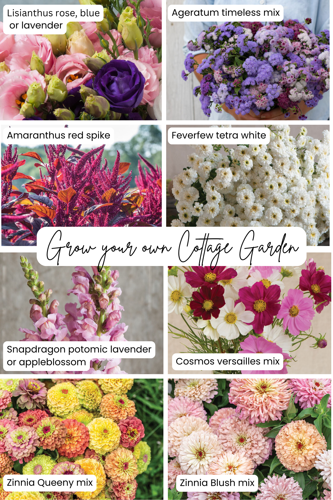 Cottage Garden Kit - Grow Your Own