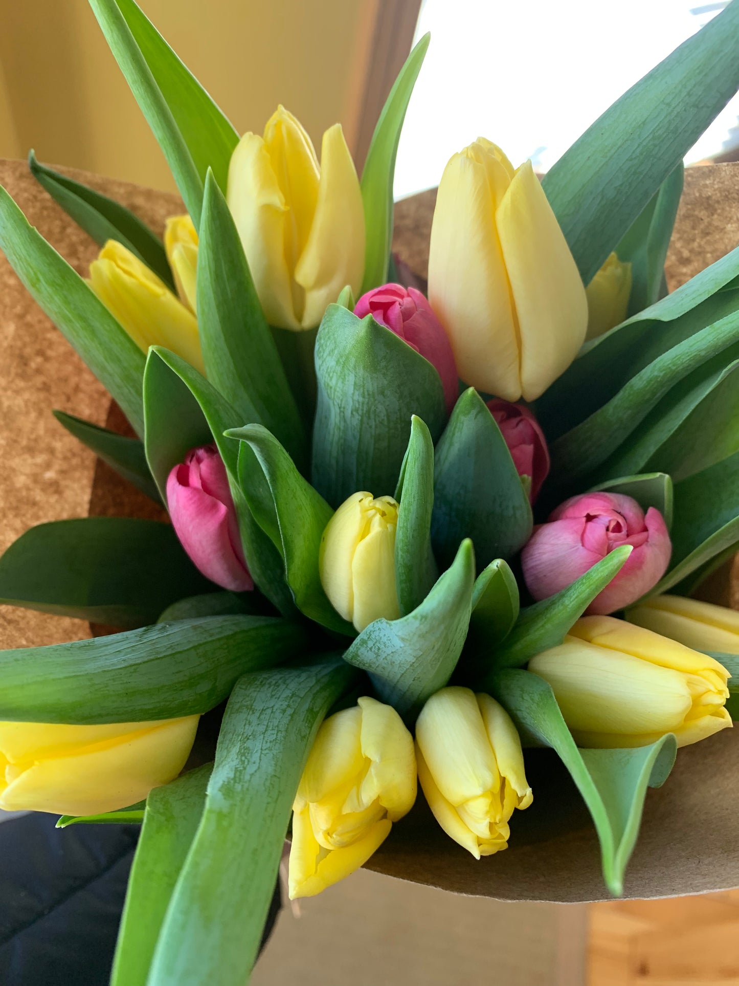 by Subscription - Tulip Club
