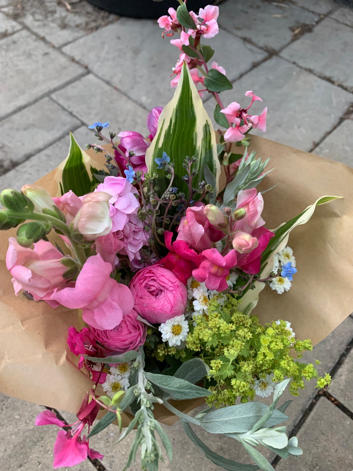 a PRE-ORDER for 2026 ~ Flowers by Subscription - SPRING Bloom Club
