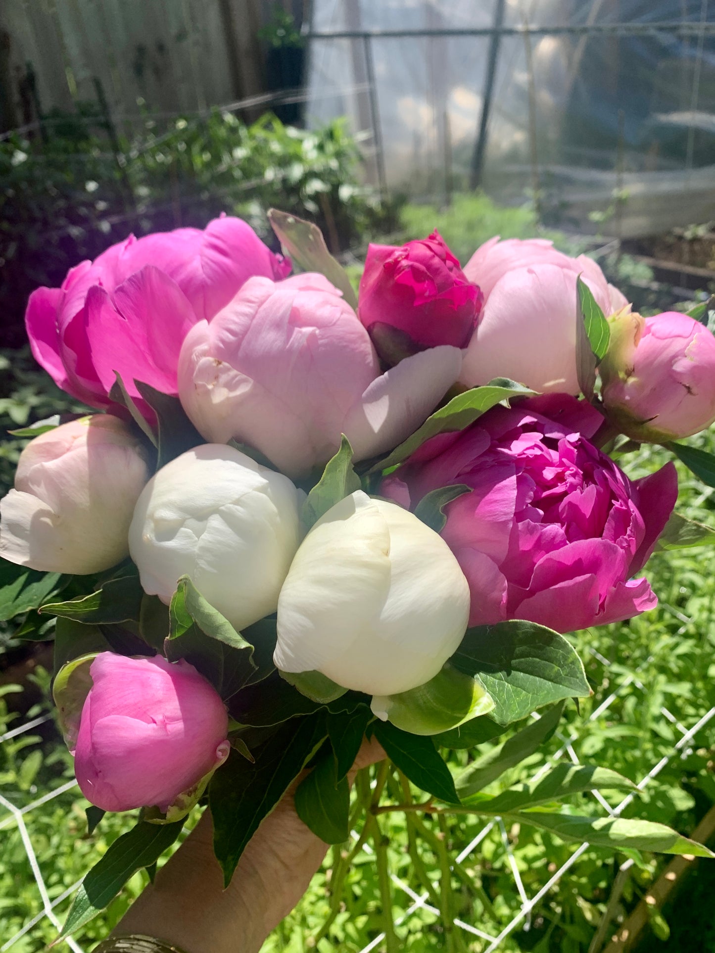 Peony Bouquet