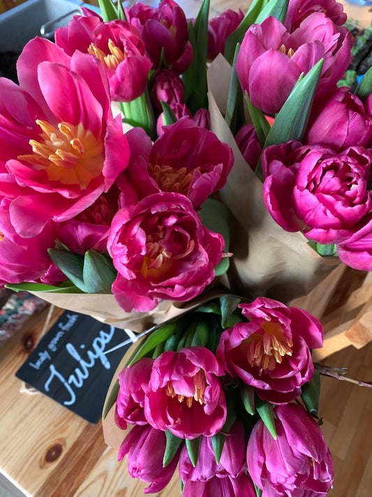 Gift Idea - Tulip Club membership (bouquet subscription)