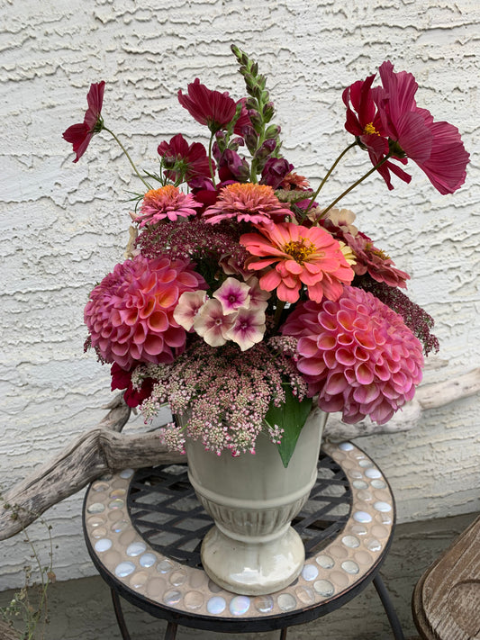 Gift Idea - Summer's End Diva Dahlias (subscription)